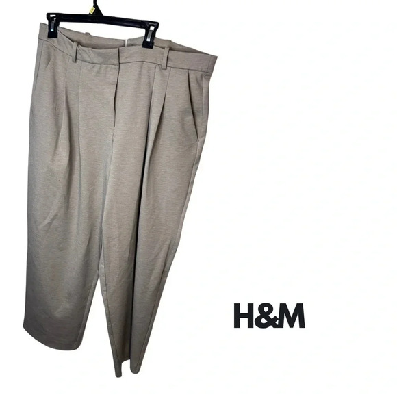 H&M Pants - H&M | Pleated Dress Pants in Beige | Size  XL [84]